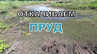 Осушаем пруд. Копаем пруд на даче экскаватором. Digging a pond. Очистка и углубление пруда. Серия 1