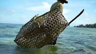 Traditional Fishing gear: Bamboo fish trap in Seychelles