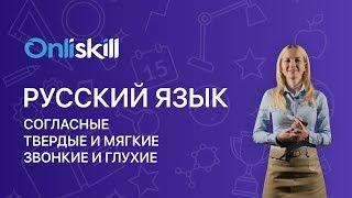 Русский язык 5 класс: Согласные.Твердые и мягкие. Звонкие и глухие.