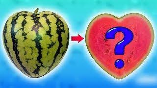 BEST LIFE HACKS TO SIMPLIFY YOUR LIFE. SIMPLE KITCHEN LIFE HACKS