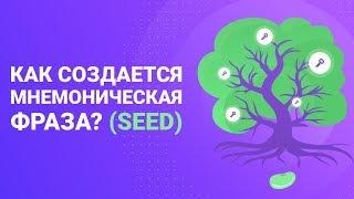 Как создается мнемоническая фраза? (Seed)