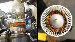 Customer States (Cooking Inside The Vehicle) | Just Rolled In