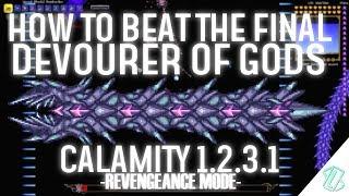 How to beat the FINAL Devourer of Gods (Calamity 1.2.3, Revengeance)