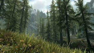 The Elder Scrolls V: Skyrim Special Edition Прохождение На Русском — НОВЫЕ ОЩУЩЕНИЯ