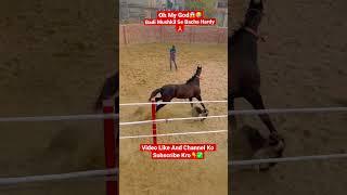 Badi Mushkil Se Jaan Bachi Hardy Ki/ Horse videos /Horse Dog Fight/Dog videos / #shorts