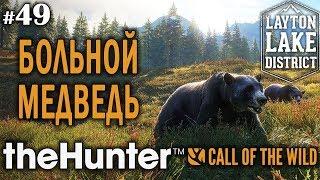 theHunter call of the wild #49  - Больной Медведь - Винтовка - Олень, Медведь