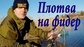 Рыбалка на фидер. Новые впечатления от рыбалки. Fishing in Russia