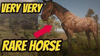 Red Dead Redemption 2 VERY VERY RARE HORSE !!  RAREST HORSE IN THE GAME