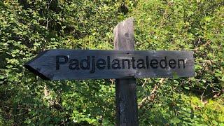 The Padjelanta Trail 2020 - Part 2: Deeper into The Tarra Valley