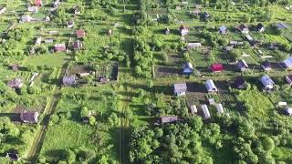 Маленькие полетушки над садом. 9.07.2017год