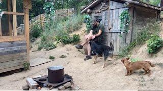 Alone in the mountain village, happy – the story of five adopted kittens.