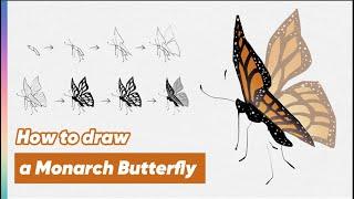 How to draw a monarch Butterfly