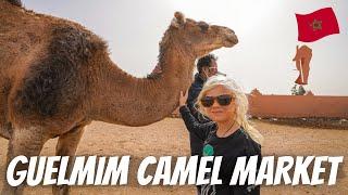 VISITING THE FAMOUS GUELMIM CAMEL MARKET: This is the livestock market in Guelmim, Morocco.