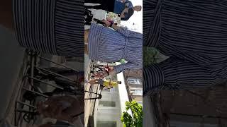ÜCRETLİ https://t.me/ISeusVip Temizlik Vlog Katıl & İPCAM VİP KANAL https://t.me/+QWMXuTNn4do1N2Rk