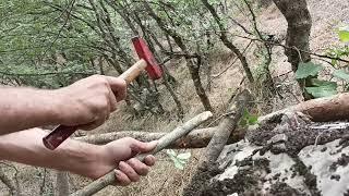 Learning how to build a tree house.survival and bushcraft cooking#survival#bushcraft#cooking#camp