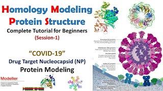 Homology Modeling for Beginners | COVID19 NP Protein Modeling  Modeller Tutorial | Bioinformatics