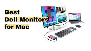 Top 3 Best Dell Monitors for Mac