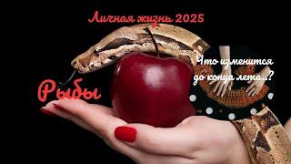 ️️РЫБЫ️ЛИЧНАЯ ЖИЗНЬ ДО КОНЦА ЛЕТАКАК ИЗМЕНИТСЯ ВАША ЖИЗНЬ..? ПЕРЕМЕНЫПРОГНОЗ Tarò Ispirazione
