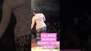 KI SENO BUNGAH NGERTI TATIN NESU2  #tatin #tatinthitot #KISENO #kisenonugroho