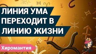 Что значит, если линия ума переходит в линию жизни? | Хиромантия