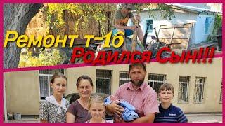 У Меня Родился Сын! Ремонт т-16 Вом, сцепление,продалжаем!