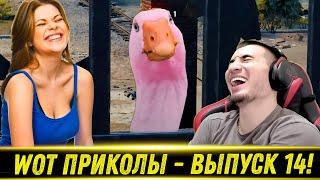 World of Tanks Приколы  WoT Moments  #14 Выпуск - РЕАКЦИЯ БЛАДИ!