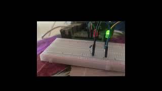 #iot Using raspberry pi to blink leds #raspberrypi #shorts