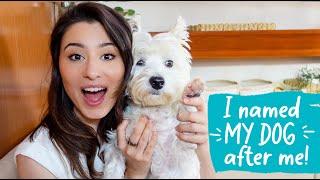 My Westie Dog Is My Best Friend ️ | Get to know SAMI!