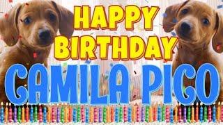 Happy Birthday Camila Pico! ( Funny Talking Dogs ) What Is Free On My Birthday