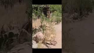Grand Canyon Phantom Ranch