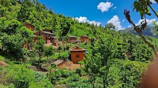 Natural Beauty Of Nepali Mountain Village || Most peaceful And Relaxing life || TheVillageNepal