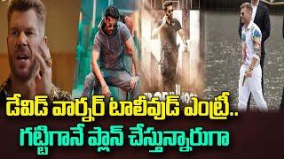 David Warner's Tollywood Entry With Robinhood Movie | Nithin | David Warner Special Role