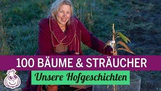 100 Bäume und Sträucher pflanzen | Klimaschutz in der Praxis | Wildobsthecke #hofgeschichten #GGKhof