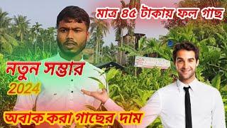 সারা বাংলায় আলোড়ন ফেলে দেওয়া গাছের দাম #সবুজ #বন্ধু #নার্সারী নিউ স্টক ২০২৪।৪৫ টাকায় ১০ ফুট গাছ 