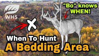 Best Time To Hunt A Buck Bedding Area