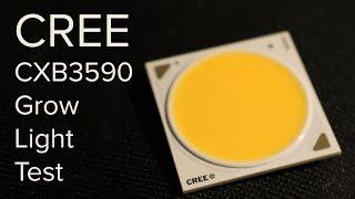 Cree CXB3590 test - Are CREE the best COB for grow lights?