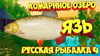 русская рыбалка 4 - Язь озеро Комариное - рр4 фарм Алексей Майоров russian fishing 4