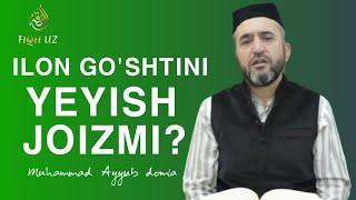 Ilon go'shtini yeyish joizmi? | Muhammad Ayyubxon domla