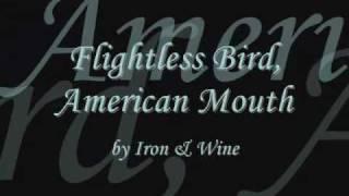 Flightless Bird, American Mouth (Twilight) + lyrics