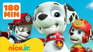 PAW Patrol | 3 Stunden der BESTEN Momente mit Marshall! | Nick Jr. Deutschland