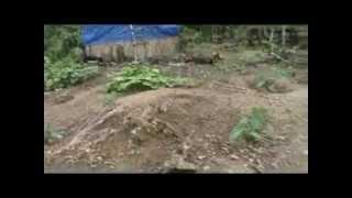 Lakhuihthei huana ka nu leh pa feh ni