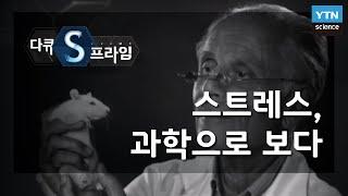 스트레스, 과학으로 보다 [다큐S프라임] / YTN 사이언스