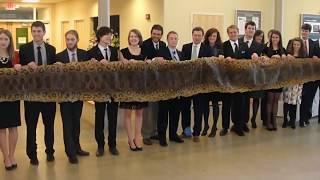 Giant Anaconda   Sucuri Gigante   Sucuriju   Boiuna   Titanoboa   Biggest snake ever