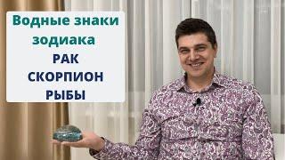 ВОДНЫЕ знаки зодиака: Рак, Скорпион и Рыбы | Ведическая астрология Джйотиш