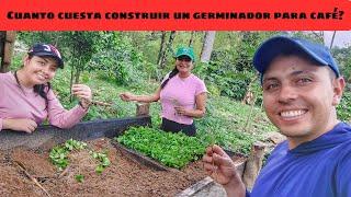 Cuanto cuesta construir un germinador para café?