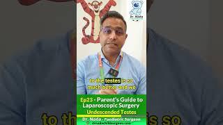 Ep23 - Undescended Testes - Parent's Guide to Paediatric Laparoscopic Surgery