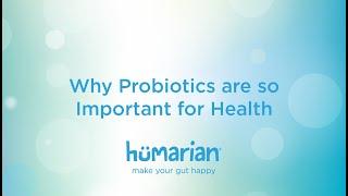 Why Probiotics are so Important for Health