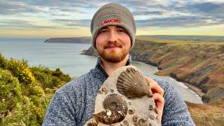 We Went Fossil Hunting Along An Ancient Beach! ️ Searching For Ammonites, Bones, Fish And More!