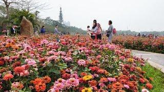 Guangzhou Private Tour Guide Guangzhou Local Tour Guide Guangzhou Local Travel Guide in China