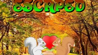 Wow Escape Game Save The squirrel Love Video Walkthrough